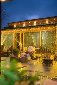 Χώρος καθιστικού στο Ikalto Woods