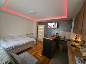 Телевизор и/или развлекательный центр в Pale LUKIJAN apartman