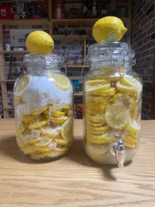 two mason jars filled with lemons on a table at Guesthouse85BASE in Suo Oshima