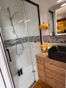 a bathroom with a shower and a sink at Studio 61 in Angers