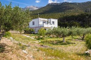 uma casa branca num campo com oliveiras em Miraluna View em Mesochórion mais 24 fotografias
