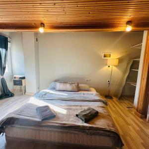 a bedroom with a large bed in a room at JD Maisonette for 4 in Neoi Epivates