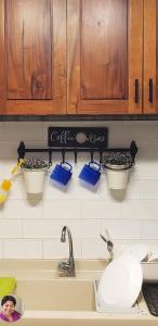 Villa Izabella in Panglao Island في داويس: حوض مطبخ مع ثلاث نباتات مزروعة في أصص معلقة على الحائط