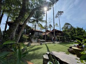 a house with a lawn and palm trees at Cat Tien Vista in Tân Phú