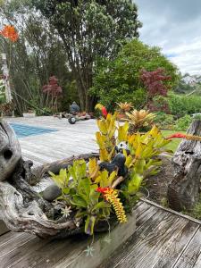 Κήπος έξω από το The Amazing Place NZ +9 φωτογραφίες