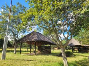 a picnic shelter with a thatched roof in a park at Lush Horizons Game Lodge in Modimolle