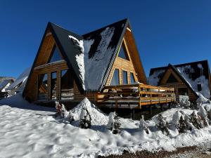 弗拉西克Vlasic Odmor - Villa Ajla的雪地小木屋