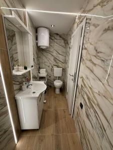 Ένα μπάνιο στο Apartman Andrijana +8 φωτογραφίες