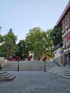 a set of stairs with pink flowers on them at Apartman Andrijana in Bajina Bašta