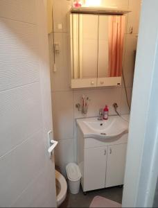 Un baño con lavabo, inodoro y espejo. en Apartman Centar 2, en Šabac