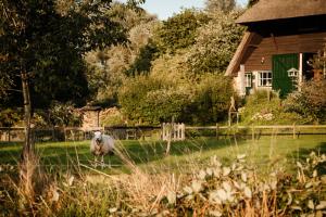 Κήπος έξω από το Natuurhuisje Heeren van Acquoy