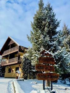 Zori de Zi & Apus de Soare iarna