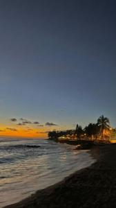 einen Strand mit Palmen und dem Meer bei Sonnenuntergang in der Unterkunft Au cœur des Roches in Saint-Paul