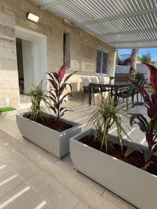 Μπαλκόνι ή βεράντα στο Ramon Palms