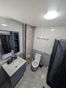 a bathroom with a sink and a toilet and a shower at Gari's apartment next to Borjomi Central Park in Borjomi +40 photos