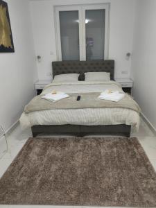 een slaapkamer met een groot bed met twee nachtkastjes bij Apartmani B&R in Lazarevac