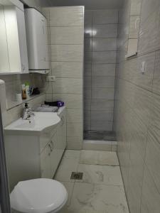 een badkamer met een douche, een toilet en een wastafel bij Apartmani B&R in Lazarevac