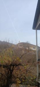 Φωτογραφία από το άλμπουμ του Гостиница σε Haghartsin