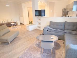 TV a/nebo společenská místnost v ubytování Camelia Luxury Apt