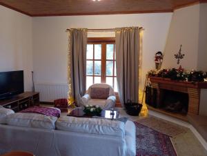 a living room with a couch and a fireplace at Golden Hearth Mountain Chalet in Ano Trikala