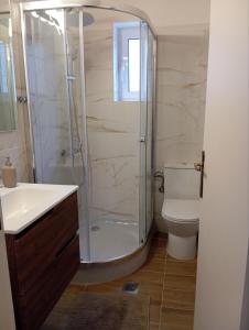 a bathroom with a shower and a toilet and a sink at Golden Hearth Mountain Chalet in Ano Trikala +9 photos