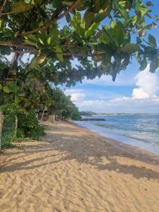 Příroda nedaleko penzionu