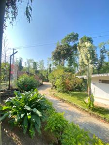 En have udenfor Gope town homestay