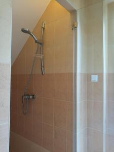La salle de bains est pourvue d'une douche avec un pommeau de douche. dans l'établissement Apartment Belaj, à Celje