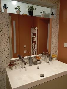 ein Badezimmer mit Waschbecken und großem Spiegel in der Unterkunft Maison atypique centre historique in Auch