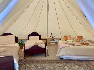 a room with two beds in a tent at Mountain View Tilba Tilba - Glamping in Tilba Tilba