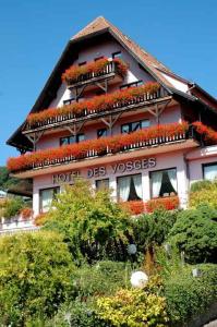 Hôtel Des Vosges في La Celle-sous-Gouzon: مبنى عليه زهور