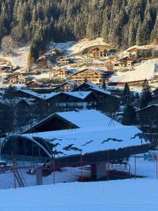 Billede fra billedgalleriet på Le CAIRNE Chalet Residence i La Chapelle-dʼAbondance + 2 billeder