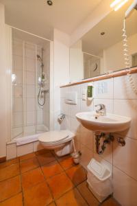 ワイマールにあるHotel Erbenhofの洗面台、シャワー、トイレ付きのバスルーム