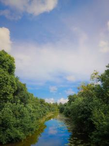 Příroda nedaleko ubytování v soukromí + 10 fotografií