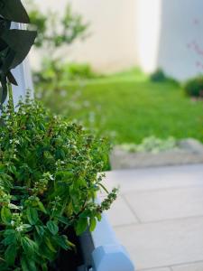 Foto dalla galleria di Mar Azul - Home salento com a Torre Mozza