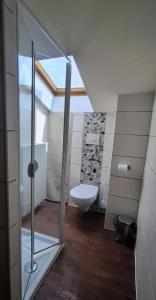a bathroom with a glass shower and a toilet at Kleine Strandperle in Fehmarn
