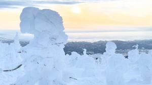 Imagem da galeria de 山寺ファミリーハウス em Wada