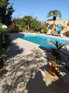 a swimming pool with a potted plant next to it at Gite de la savane in Sindia