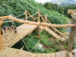 Billede fra billedgalleriet på Balance Treehouse 