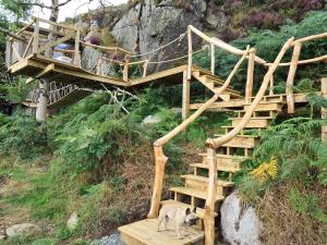 Φωτογραφία από το άλμπουμ του Balance Treehouse 