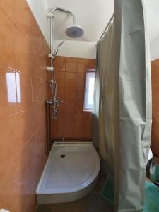 ein Badezimmer mit Badewanne, Toilette und Dusche in der Unterkunft Casa Birsan in Jina