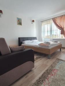 ein Wohnzimmer mit einem Bett und einer Couch in der Unterkunft Casa Birsan in Jina