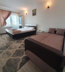 1 Schlafzimmer mit 2 Betten und Teppichboden in der Unterkunft Casa Birsan in Jina
