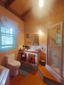 レイクス・エントランスにあるThe Goat and Goose Bed & Breakfastのトイレ、洗面台、シャワー付きのバスルーム