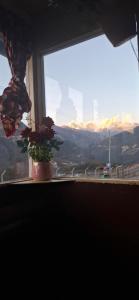 Cảnh núi rừng hoặc tầm nhìn ra núi từ nhà trọ