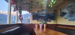 Cảnh núi rừng hoặc tầm nhìn ra núi từ nhà trọ