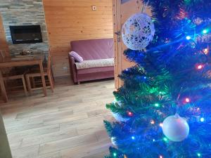 a christmas tree in a living room with a purple couch at Domki Bursztyn in Święta Katarzyna +39 photos