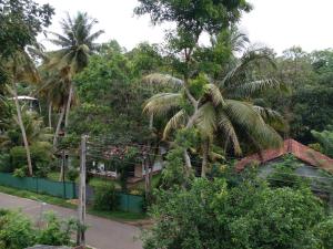 una casa en medio de un bosque con palmeras en Serenity villa, en Weligama