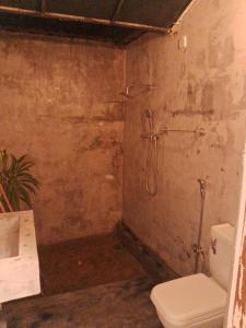 een badkamer met een toilet en een douche bij Ceylonza Deluxe in Nikawatawana