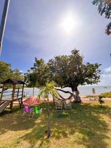 Příroda nedaleko penzionu